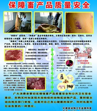 动物卫生监督所315活动图片