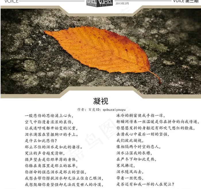 文章模板图片psd模版下载