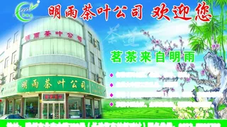 明雨茶叶公司图片