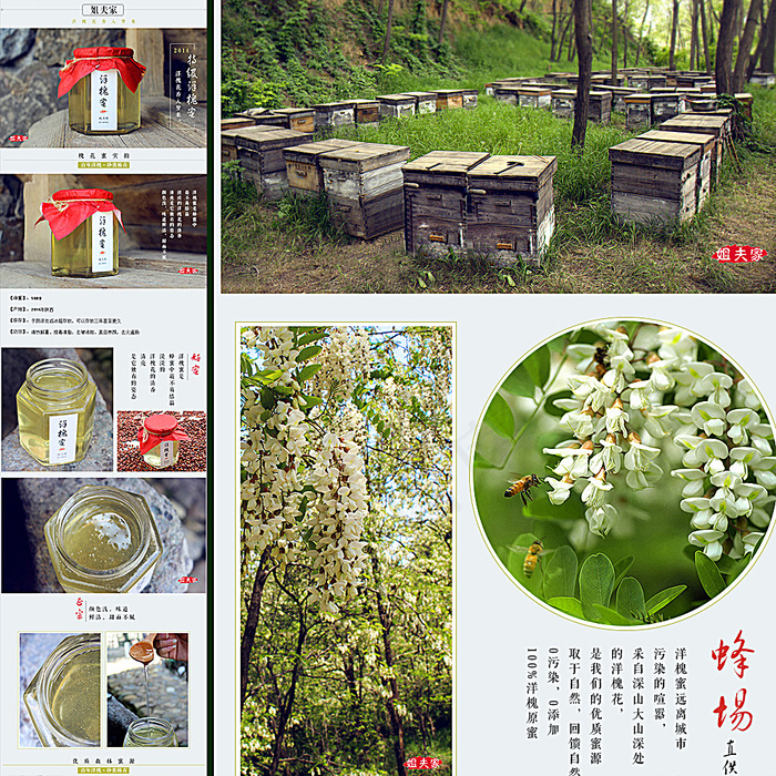 蜂蜜详情页图片(750X5533(DPI:300))psd模版下载