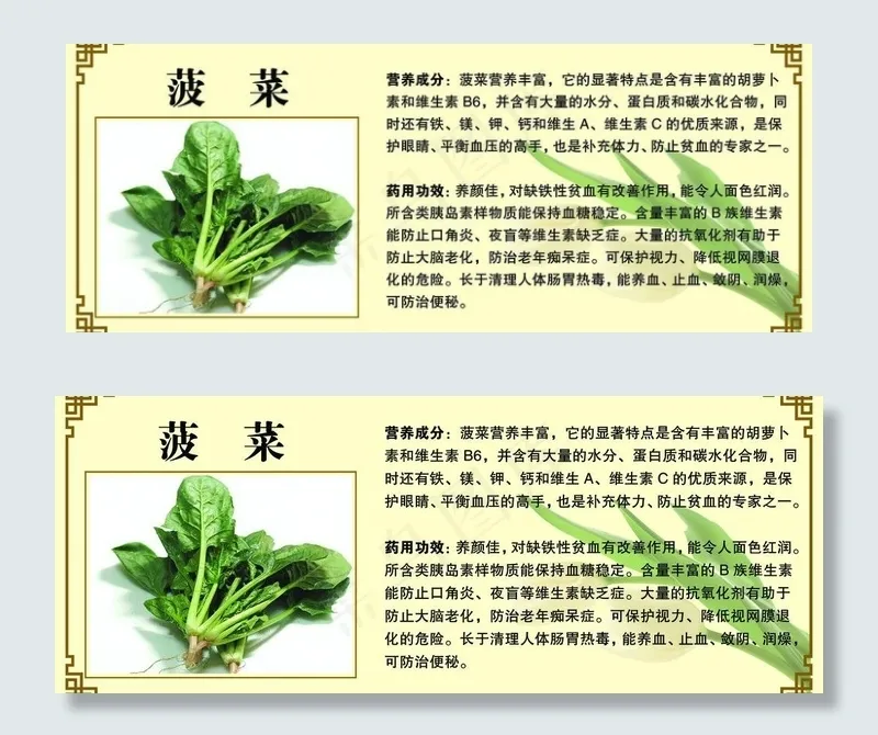 菠菜 简介psd模版下载