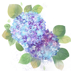 水粉画花卉紫色小花丛清新绣球花水粉画花卉紫色小花丛清新绣球花