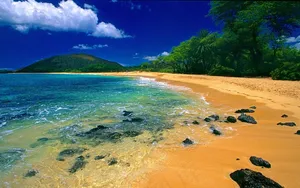夏威夷黄金海滩图片