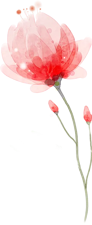 手绘梦幻星光花朵植物