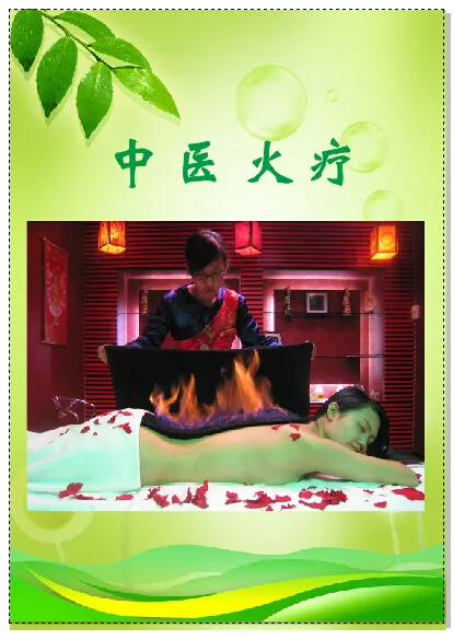 绿色中医海报cdr矢量模版下载