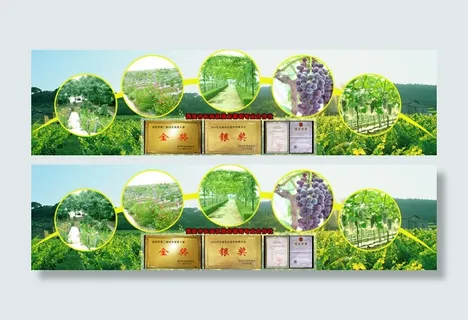 绿色生态水果海报