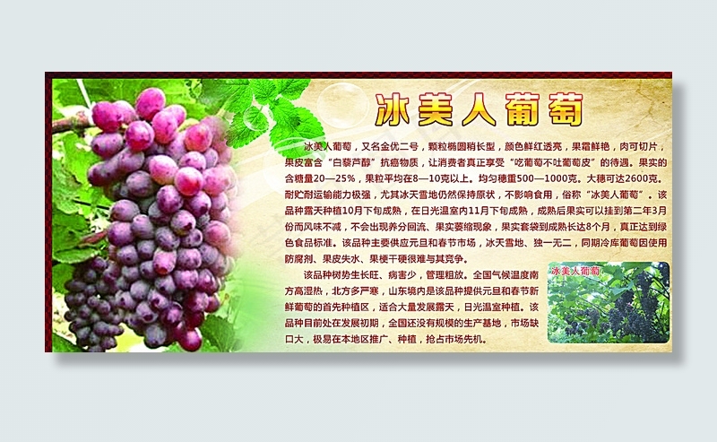 冰美人葡萄图片(7149X3307(DPI:40))psd模版下载