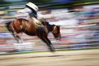 赛场上奔驰的骏马