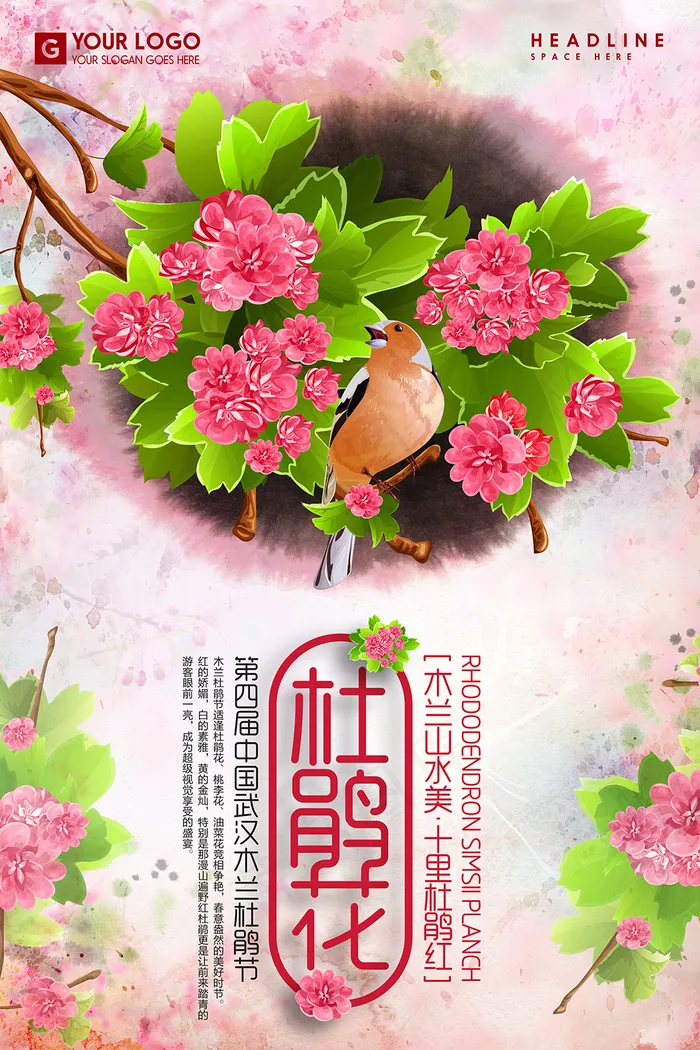 杜鹃花