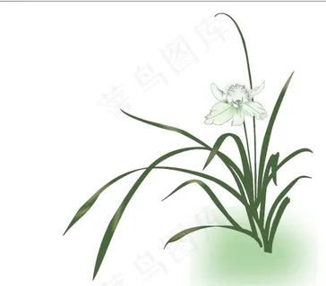 兰花矢量素材 兰花矢量素材