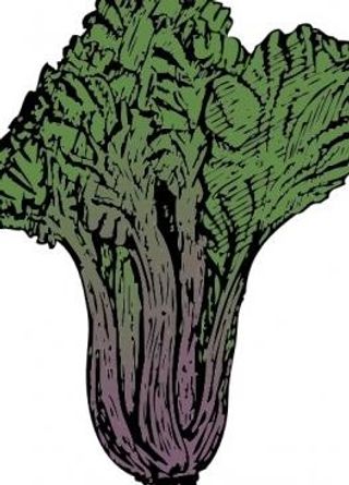 瑞士甜菜剪贴画