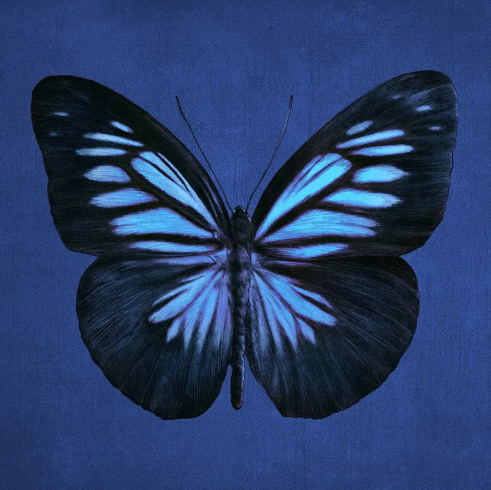 T恤卡通图案设计