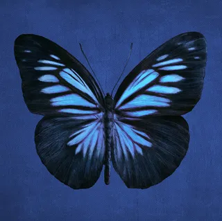 T恤卡通图案设计