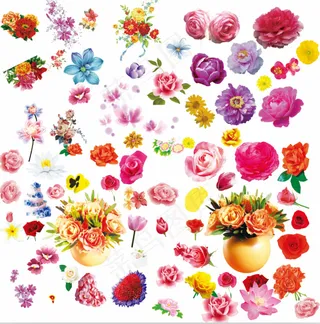 单个花朵矢量素材