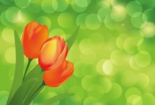 花与绿背景矢量艺术