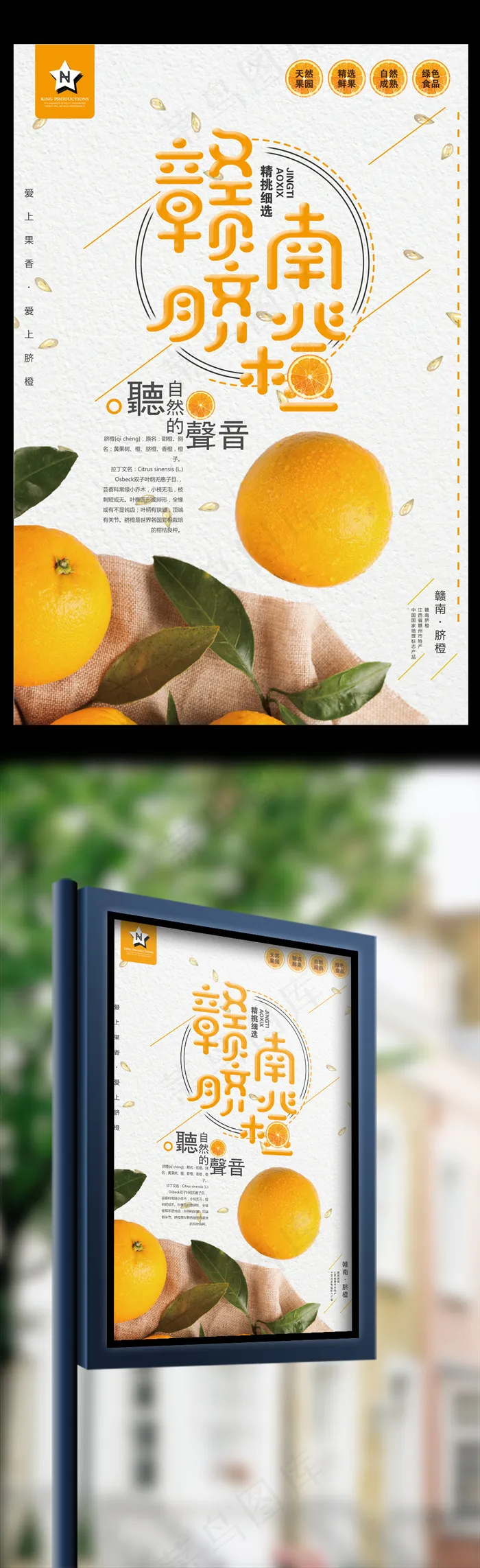 实景风格赣南脐橙户外海报psd模版下载