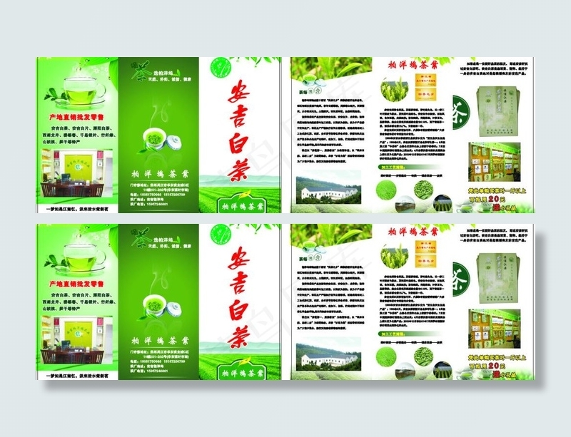 安吉白茶 说明 茶叶三折页图片cdr矢量模版下载