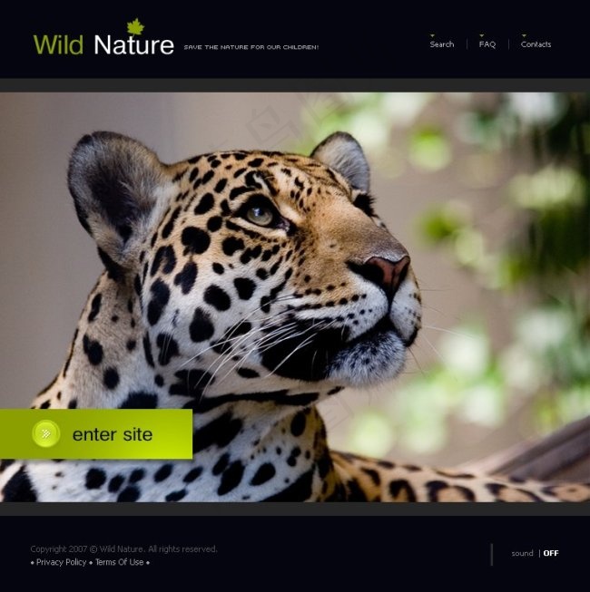 野生动物网页psd模板