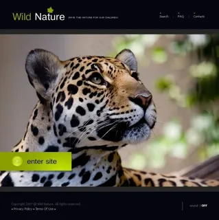 野生动物网页psd模板