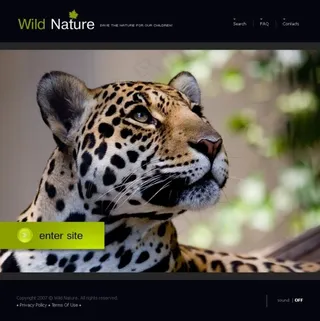 野生动物网页psd模板