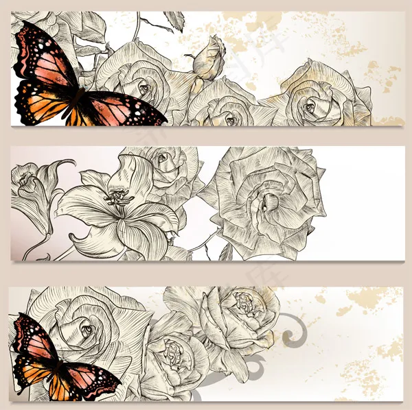 古典花朵花卉植物横幅矢量素材ai矢量模版下载