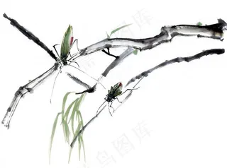 水墨昆虫1图片