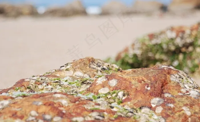 深圳西涌海景图片