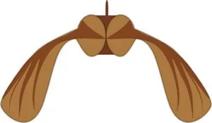 sycamoreseed剪贴画
