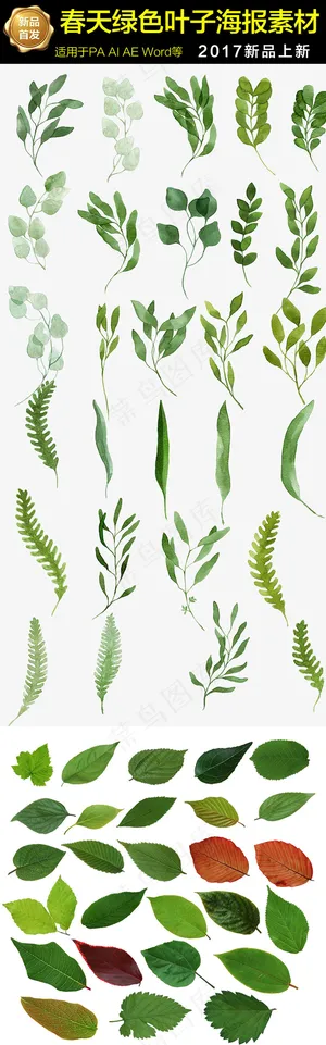 卡通水墨绿色春天叶子设计海报素材