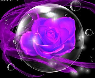 紫色梦幻水晶球玫瑰图片