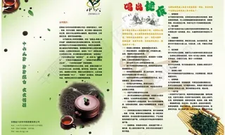 健康杂志内页图片