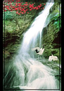 江南风光 流水生财图片