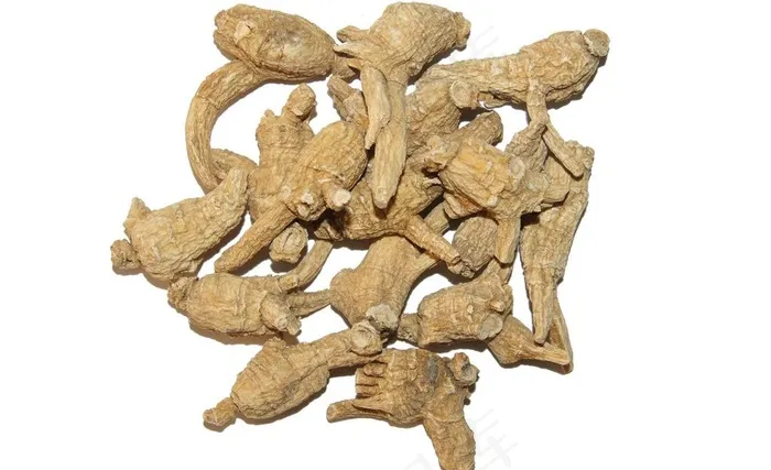 有尾花旗参粒图片