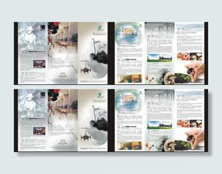 spa宣传册三折页图片