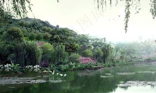 公园景观设计图片