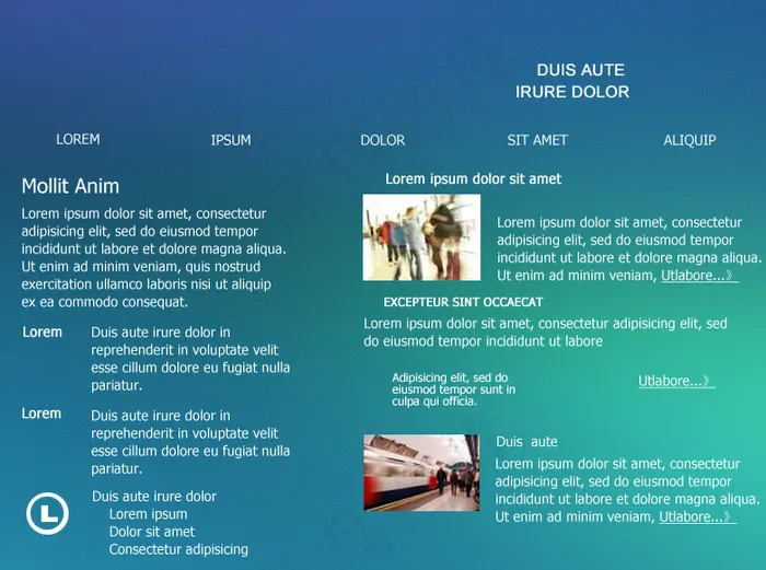 漂亮的英文网站设计