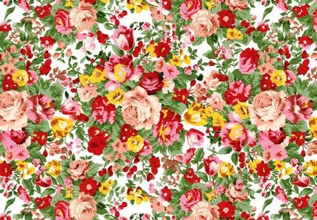 玫瑰花背景图片