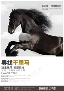 招聘海报设计 招聘海报设计