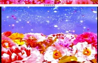 花瓣影视素材下载