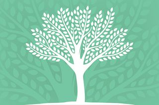 生态友好的剪影树背景