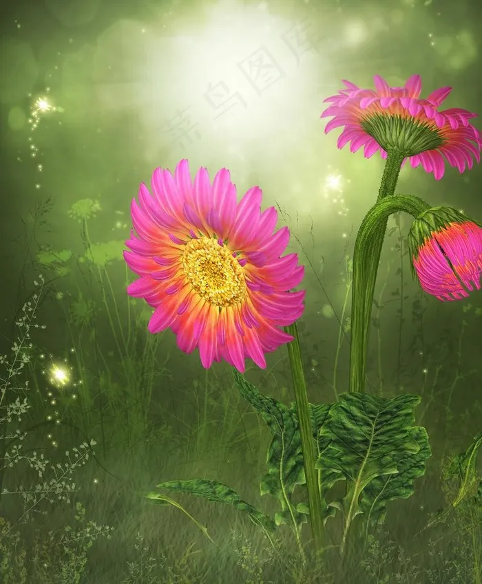 梦幻背景 花朵图片