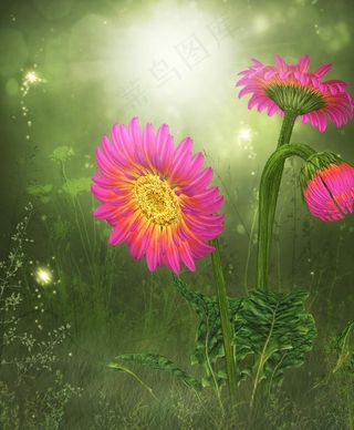 梦幻背景 花朵图片