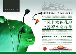荷花荷叶创意宣传海报设计