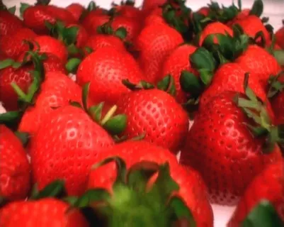 动态红色草莓素材素材下载