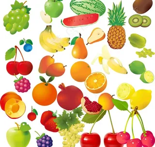 水果集图片
