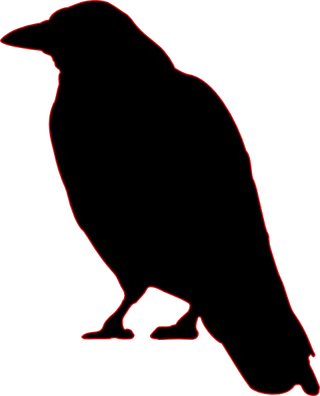 乌鸦剪影艺术剪辑