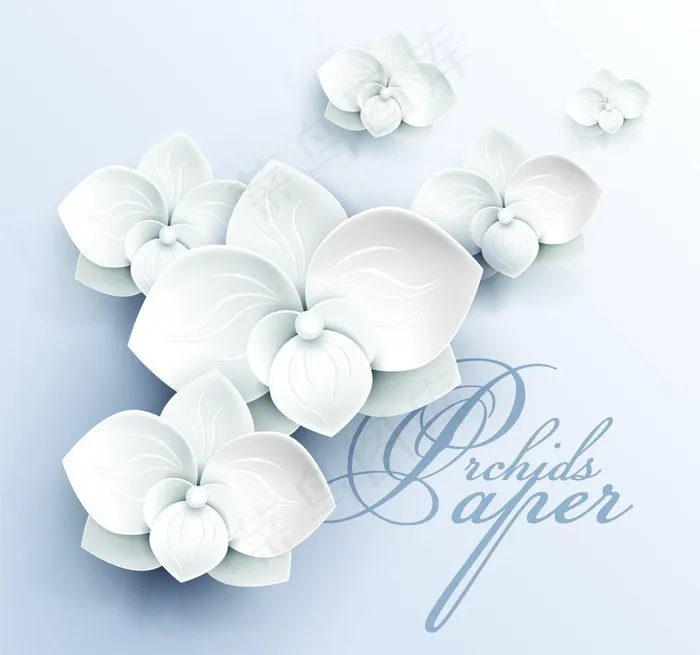 3d花纹底纹纸张图片eps,ai矢量模版下载