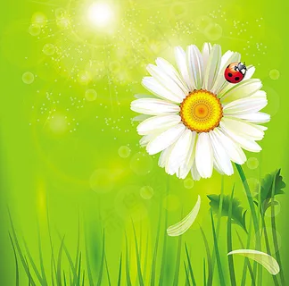 梦幻背景设计 梦幻背景设计