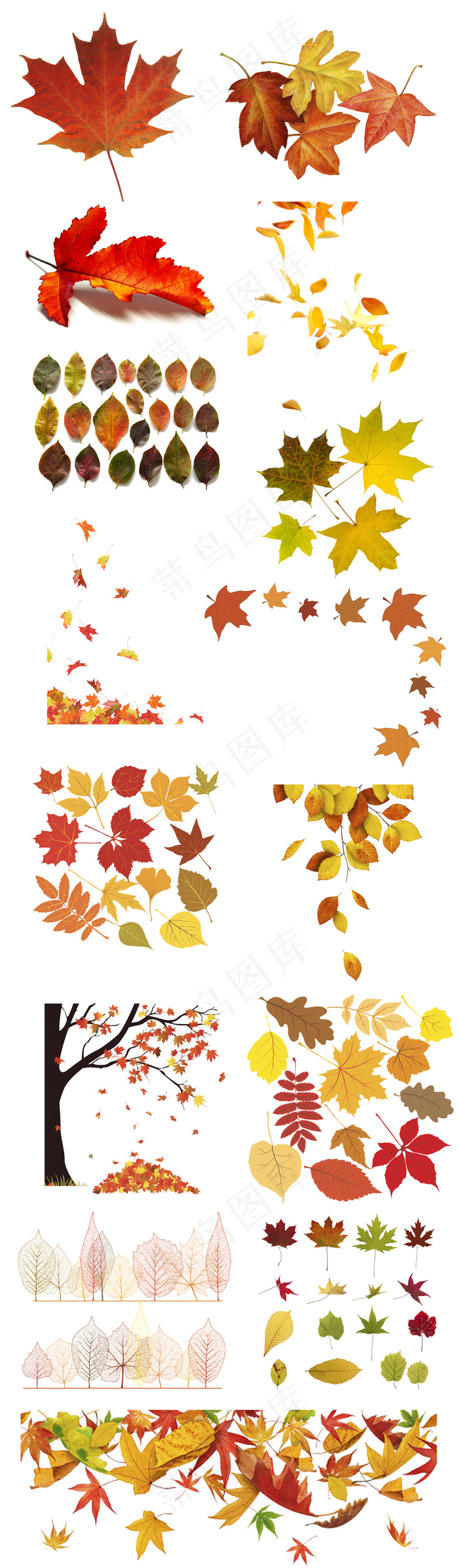 2017年水彩秋天落叶花卉花环设计...