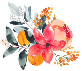 手绘植物鲜花树叶水彩透明素材